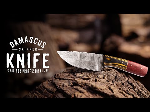 Damascus Skinner Knife with Twist Pattern And Pakka Wood Handle KSK1302RED