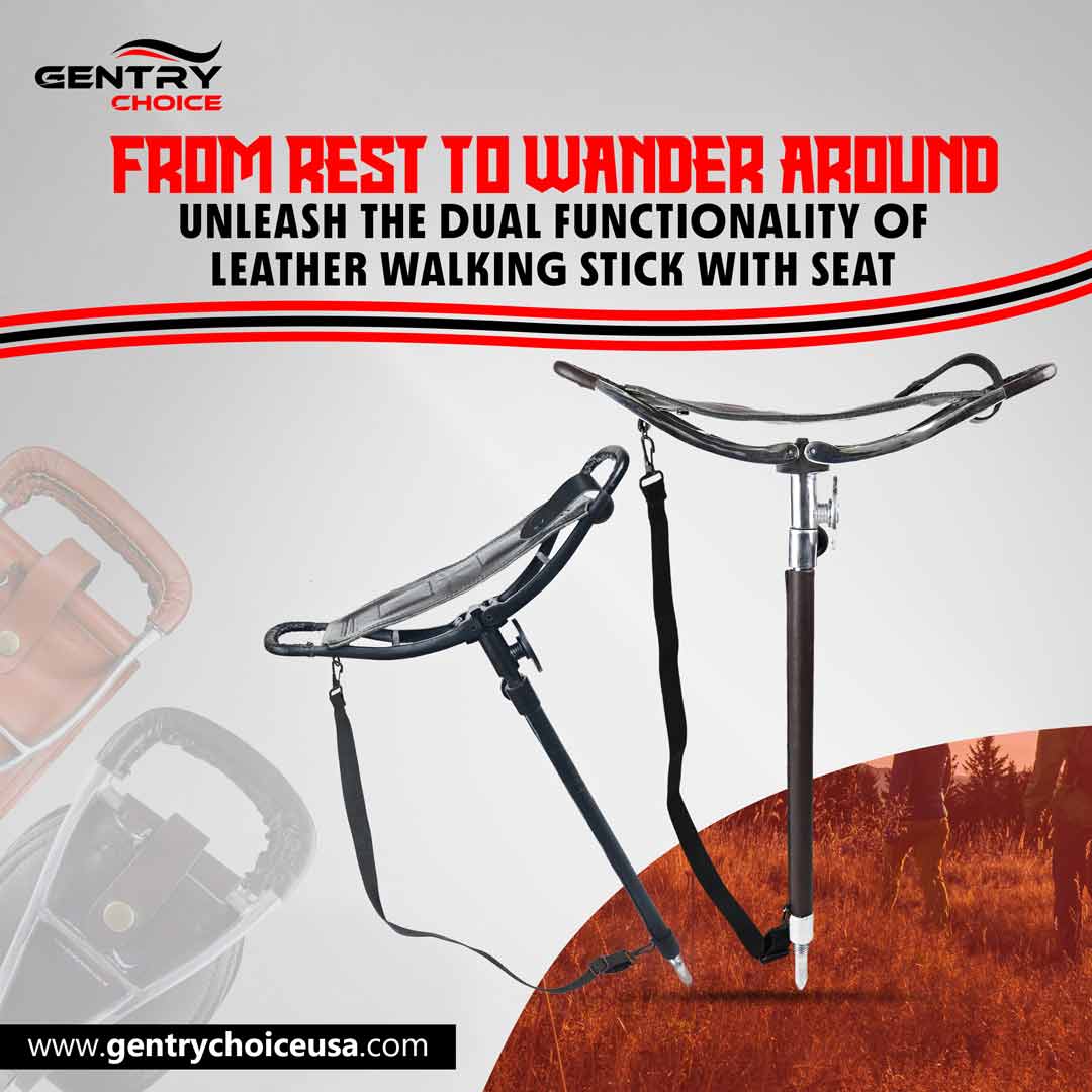 Sit or Stroll: The Dual Function Walking Stick with Seat Explained