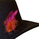 Feather Hat
