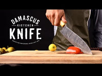 Damascus Chef Knife Twisted Pattern with Bone & Rosewood Handle KCF1102RED