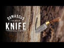 Damascus Skinning Knife with Rain Drop Pattern & Rose wood Handle KSK1307